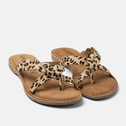 Avi Dames Teenslippers Leopard